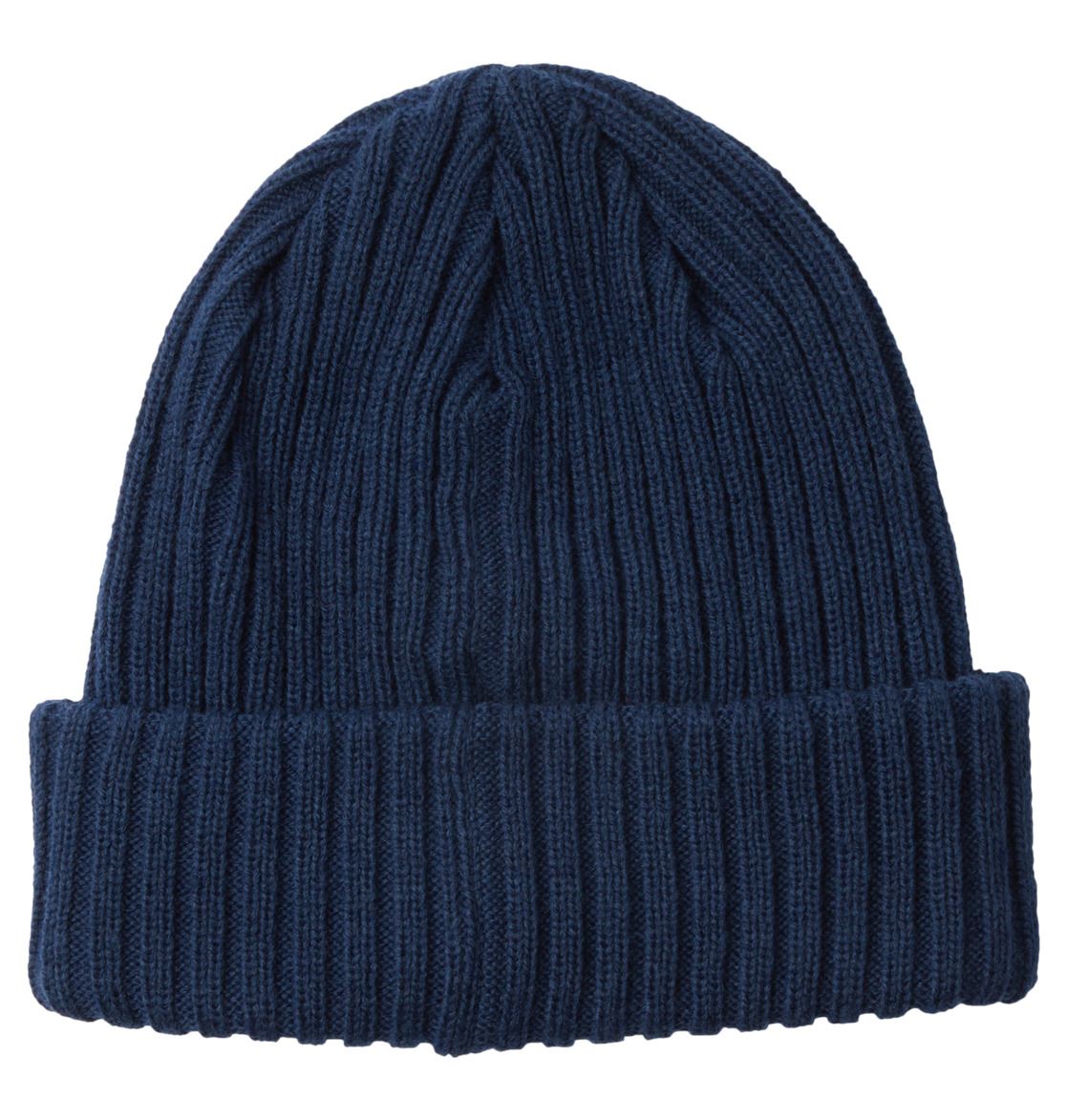 Fish n Destroy Blue DC Cuff Beanie