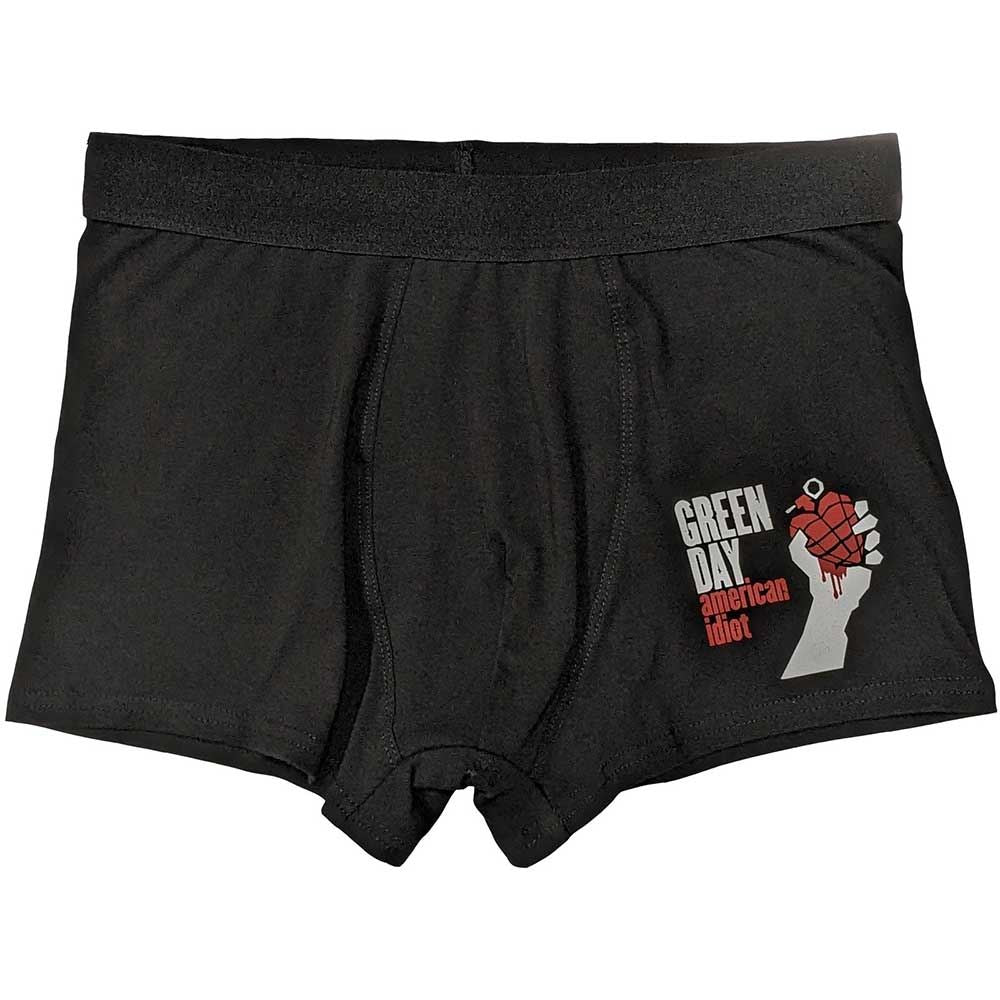 Green Day American Idiot Logo Boxer Briefs Rock Off